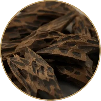 collection-img